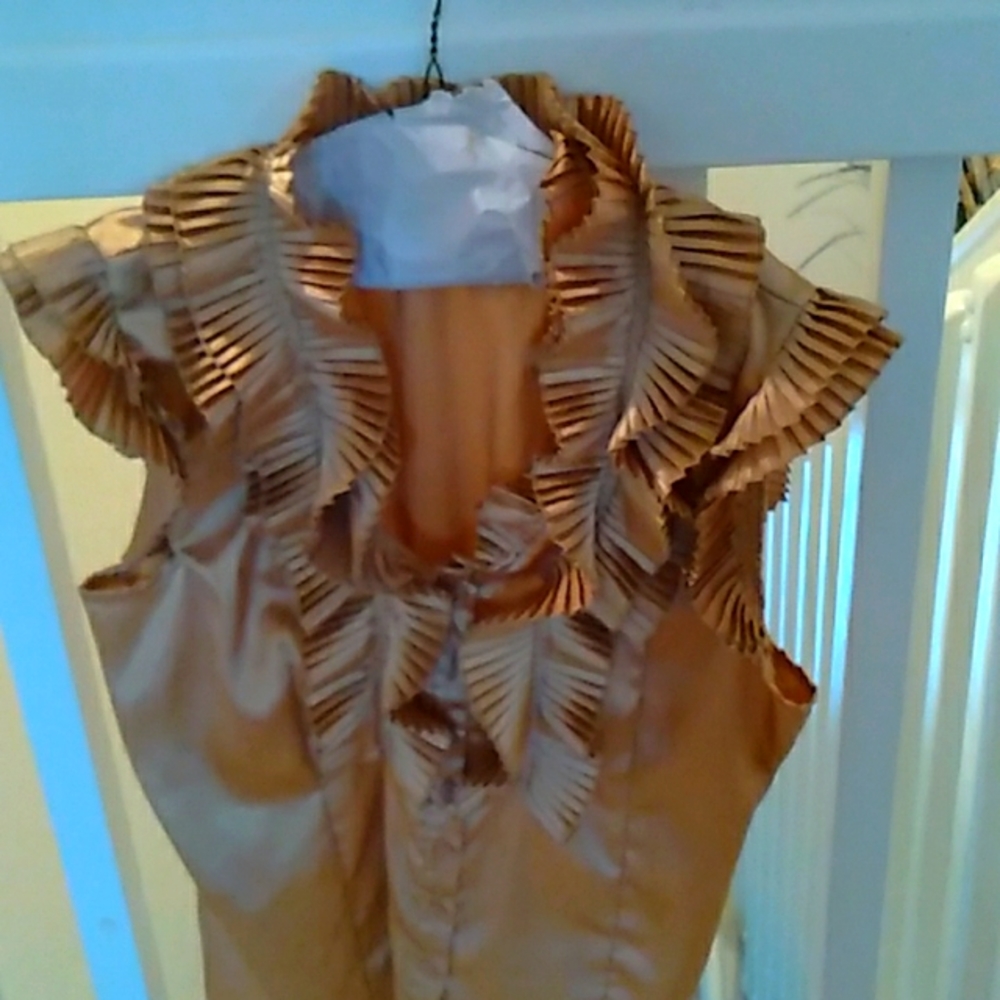 Voice Beautiful Holiday Blouse